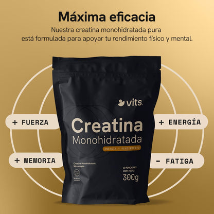 Creatina Monohidratada Micronizada en Polvo