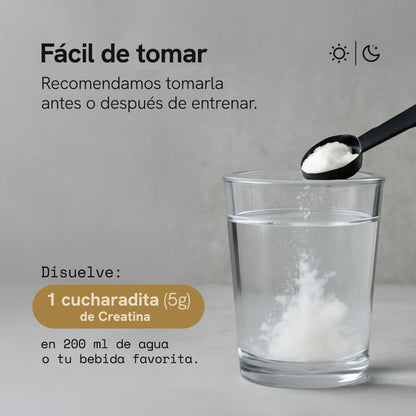 Creatina Monohidratada Micronizada en Polvo