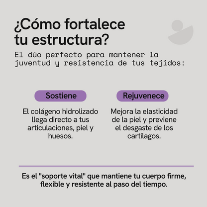 Colágeno Hidrolizado + Vitamina C en Polvo