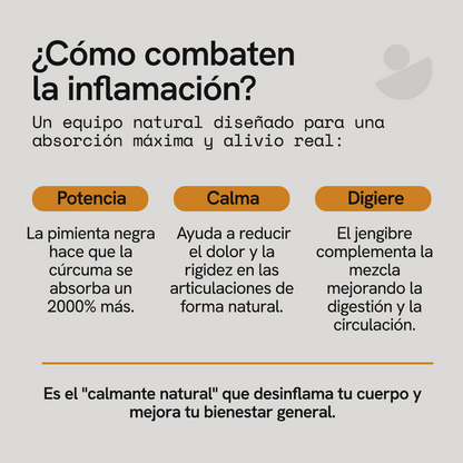 Cúrcuma + Jengibre y Pimienta Negra en Cápsulas