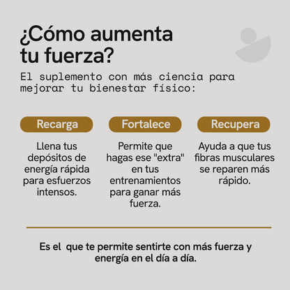 Creatina Monohidratada Micronizada en Polvo